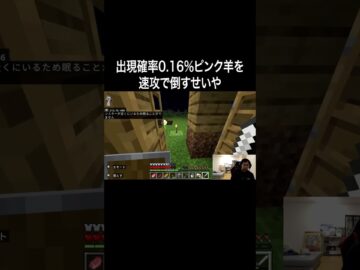 出現確率0.16%ピンク羊を速攻で倒すせいや #イニミニ切り抜き #shorts  #マイクラ