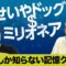 【せいやドッグミリオネア】２人しか知らない記憶クイズで１０００万【霜降り明星】