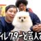 わんちゃんとスタッフの西くんと呑み
