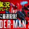 最新作！スパイダーマン２配信