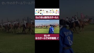 せいや カタールのひょうきんものと遭遇 #イニミニ切り抜き #shorts