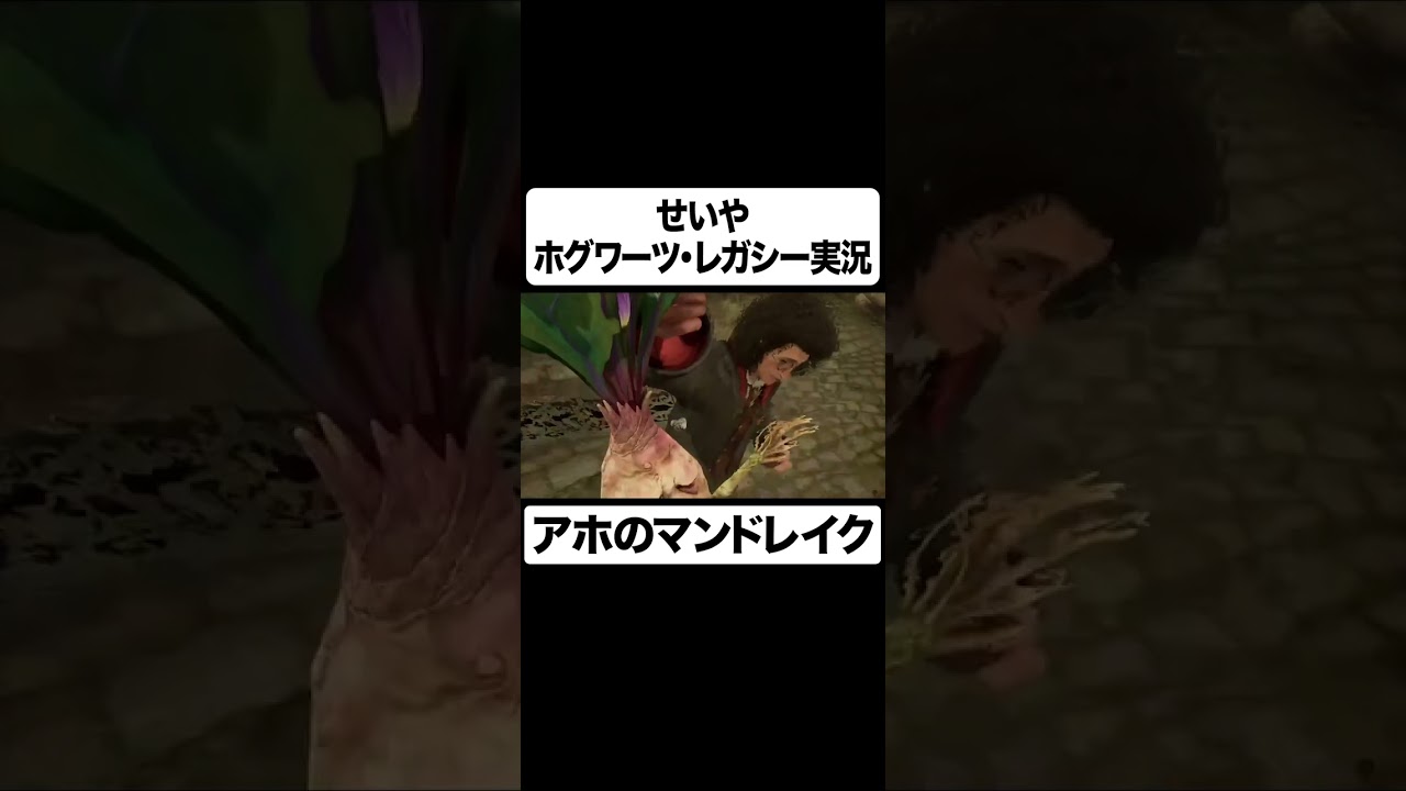 プリロード画像