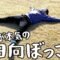 大人が本気の日向ぼっこ