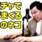 【モノマネ】スパチャで稼ぎまくる団地のネコ
