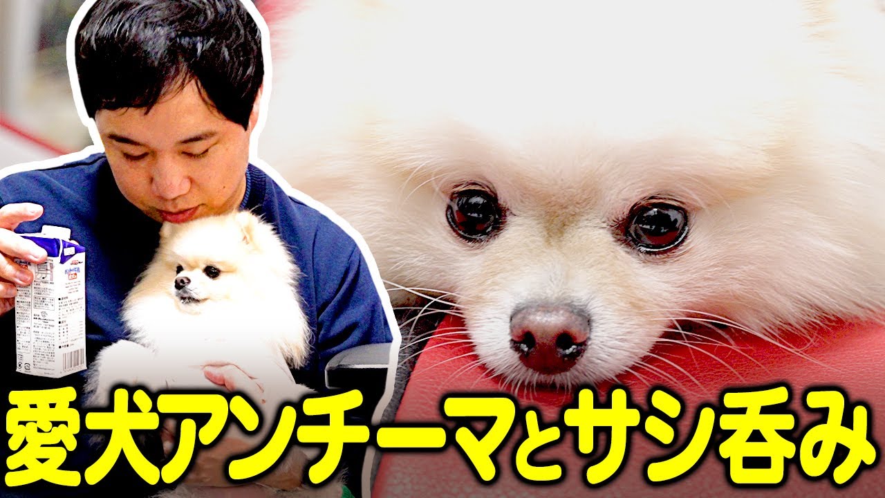 プリロード画像