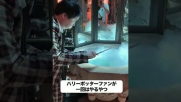 ハリーポッターファンが一回はやるやつ #ハリーポッター #イニミニ切り抜き #shorts