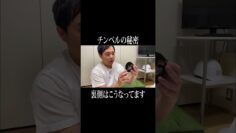 チンベルの裏側はこうなってます #イニミニ切り抜き #shorts