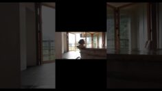 30万再生ありがとう㊗️ #shortvideo #shorts #vlog #小宵こなん #小宵虎南