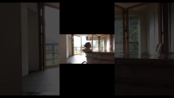 30万再生ありがとう㊗️ #shortvideo #shorts #vlog #小宵こなん #小宵虎南