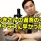 【モノマネ】ひろゆきさんの返答の中でもトップクラスに早かったやつ