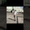 ディフェンスから見たシュート決められてキレてるフォワード #shorts