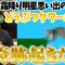 どうぶつタワーバトルやってたら奇跡起きた