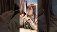 寝ぼけて牡蠣か穴子かわからなくなってきた社長 #vlog #shortvideo #密着 #旅行 #旅行vlog #japan #小宵こなん #小宵虎南