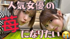 【ペロリンサッカー】昔の深夜番組のような工口？ゲーム爆誕！