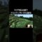 マイクラ知らなさすぎてクリエイティブモードから始める #イニミニ切り抜き #shorts #マイクラ #マインクラフト
