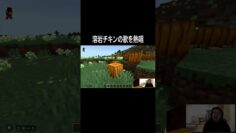 溶岩チキンの歌を熱唱するせいや #イニミニ切り抜き #マイクラ #マインクラフト