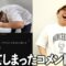 いじられ過ぎて思わず笑ってしまったコメントを晒していく