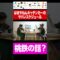 桃鉄ばりの大移動をするはまやねん #shorts #ラッスンゴレライ #イニミニ切り抜き