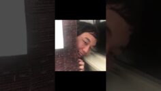 母親の目を盗んで隙間から見てくる子ども #shorts