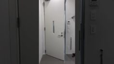久しぶりに会った親友の最高な登場の仕方 #shorts