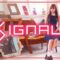 【三上悠亜】TWICE(트와이스) ”SIGNAL”【Dance Cover / 踊ってみた】