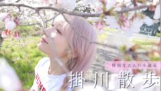 【VLOG】お花見旅行🌸大自然と大満開の桜が、私を幸せにしてくれました🫶🏻🍃