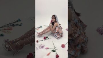 花の妖精です🧚 #vlog #japan #shortvideo #fashion #shorts #小宵こなん #小宵虎南